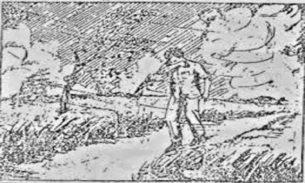 Observation image for PPDT